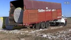 原神最新卡车爆料,神秘角色登场，探索未知领域